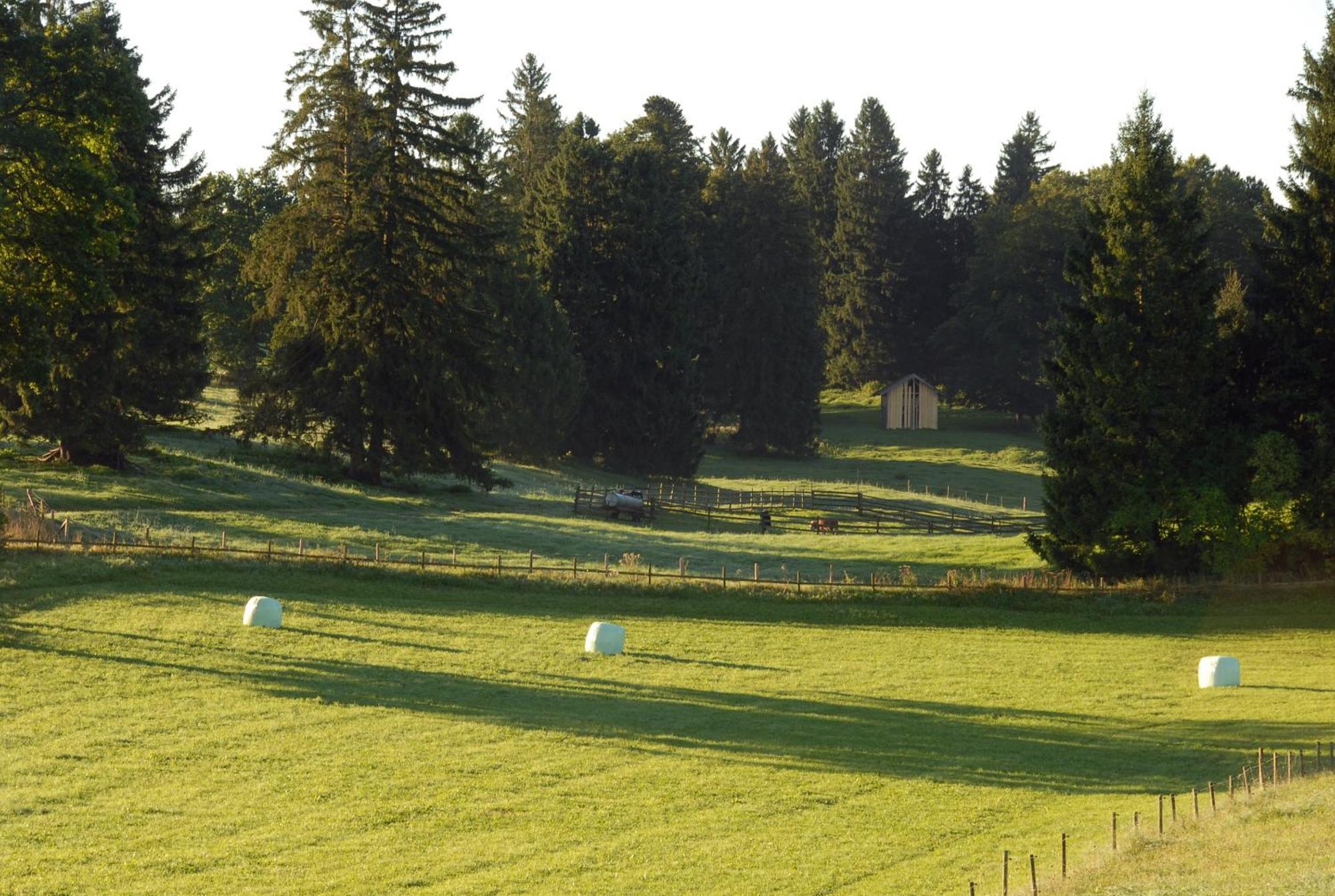 Zweilindenhof Otel Seeshaupt Dış mekan fotoğraf