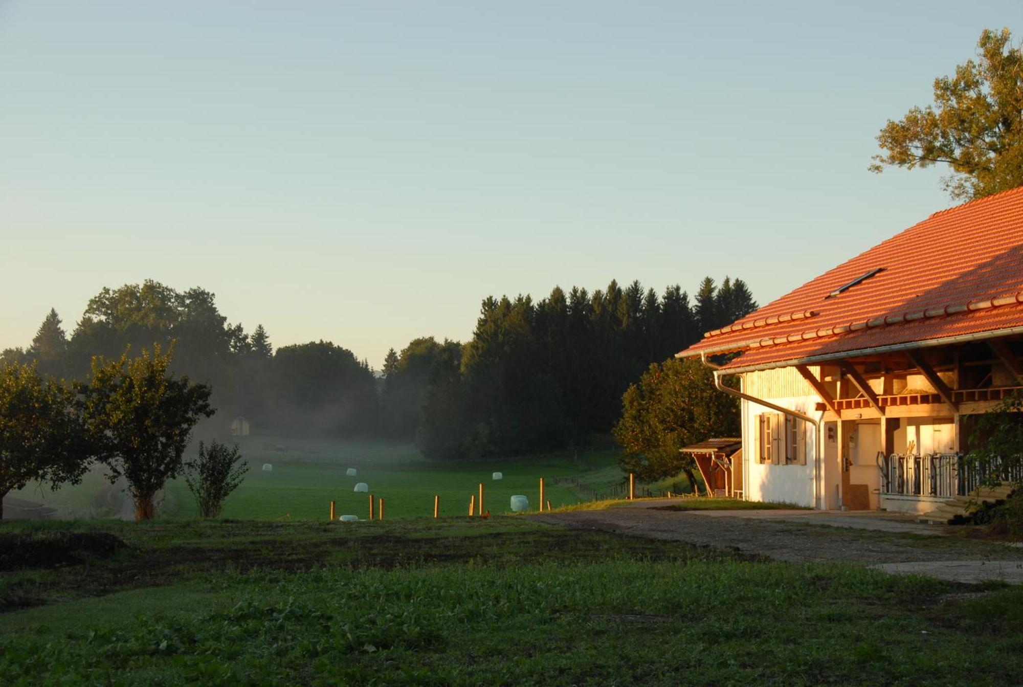 Zweilindenhof Otel Seeshaupt Dış mekan fotoğraf