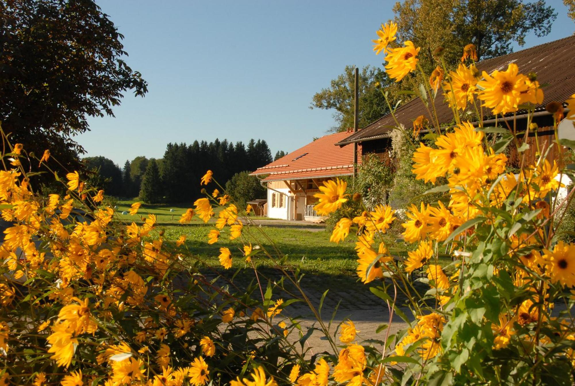 Zweilindenhof Otel Seeshaupt Dış mekan fotoğraf
